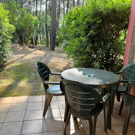 L'oree Des Pins Tropico T2 En Rdc Avec Terrasse Refait A Neuf 公寓